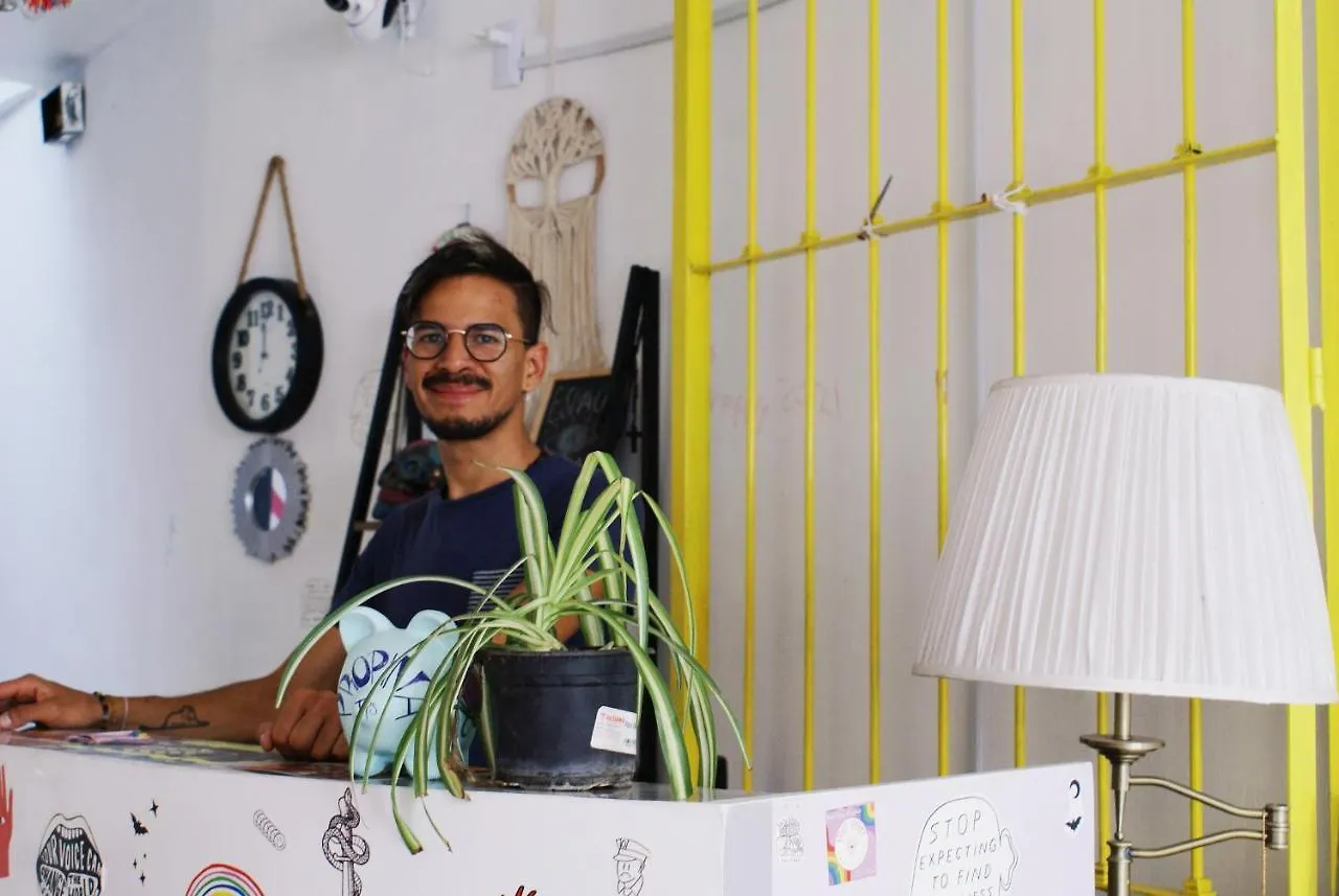 Free Spirit Hostel Guadalajara Mexico