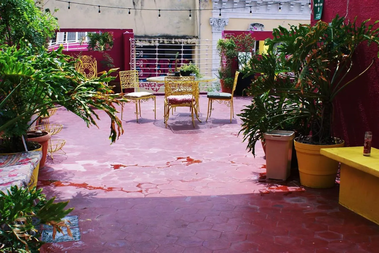 Free Spirit Hostel Guadalajara Mexico